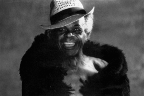 O som de liberdade: a presença queer na música brasileira